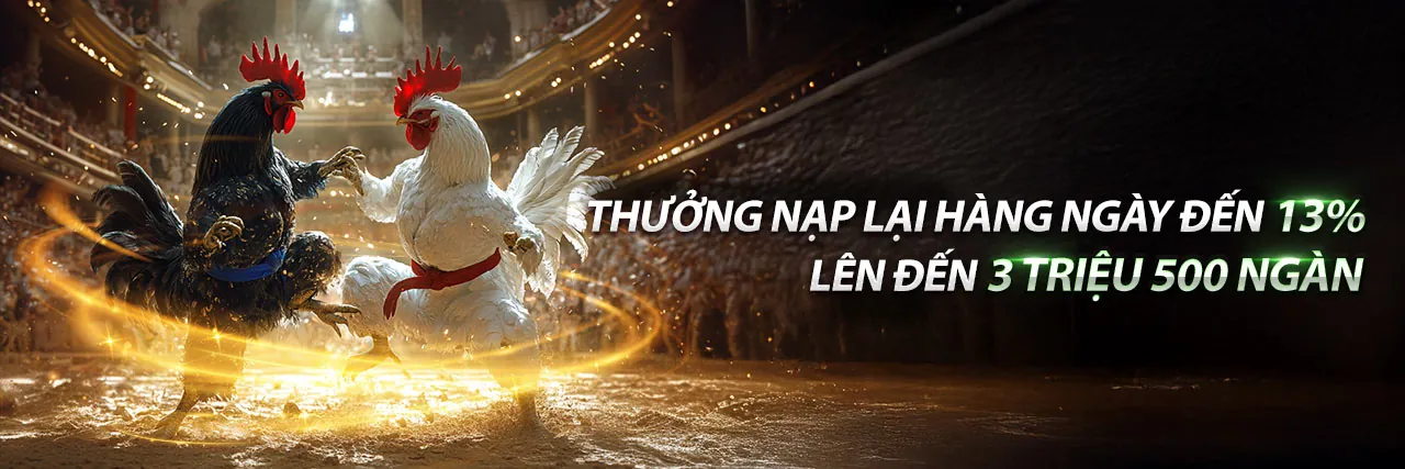 Đá Gà Thomo 9 7 2022 – Các trận đấu gà kịch tính tại mbet casino