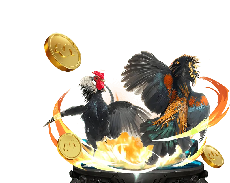 Đá gà Thomo trực tuyến tại mbet casino